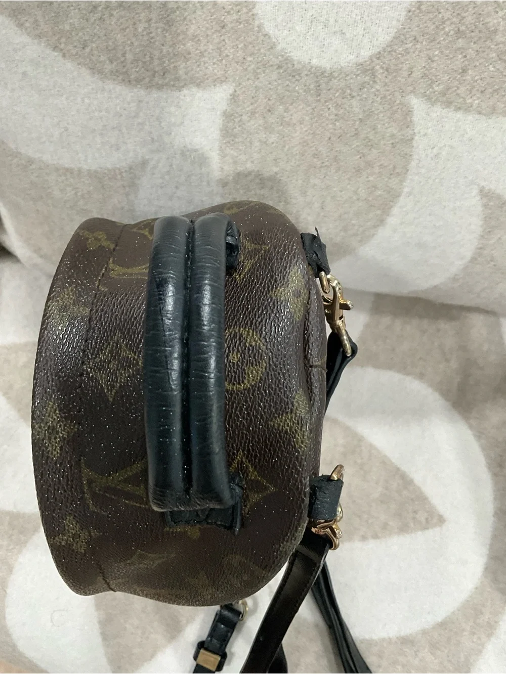 Louis Vuitton Monogram Palm Springs Backpack